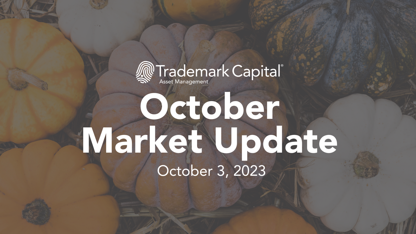 October Financial Market Update