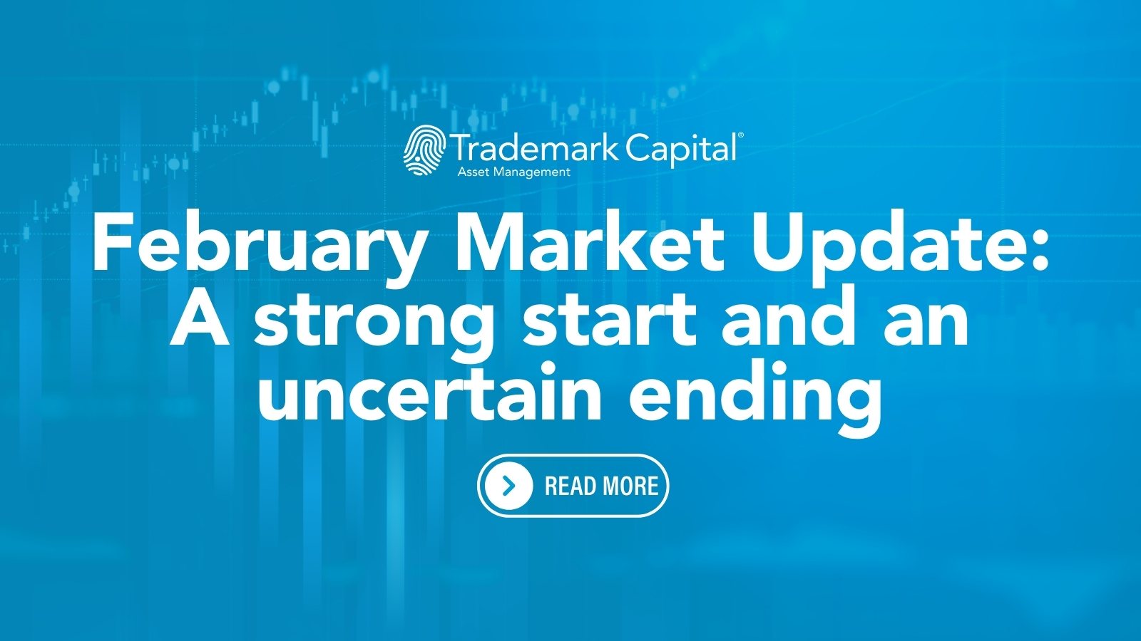 February Financial Market Update